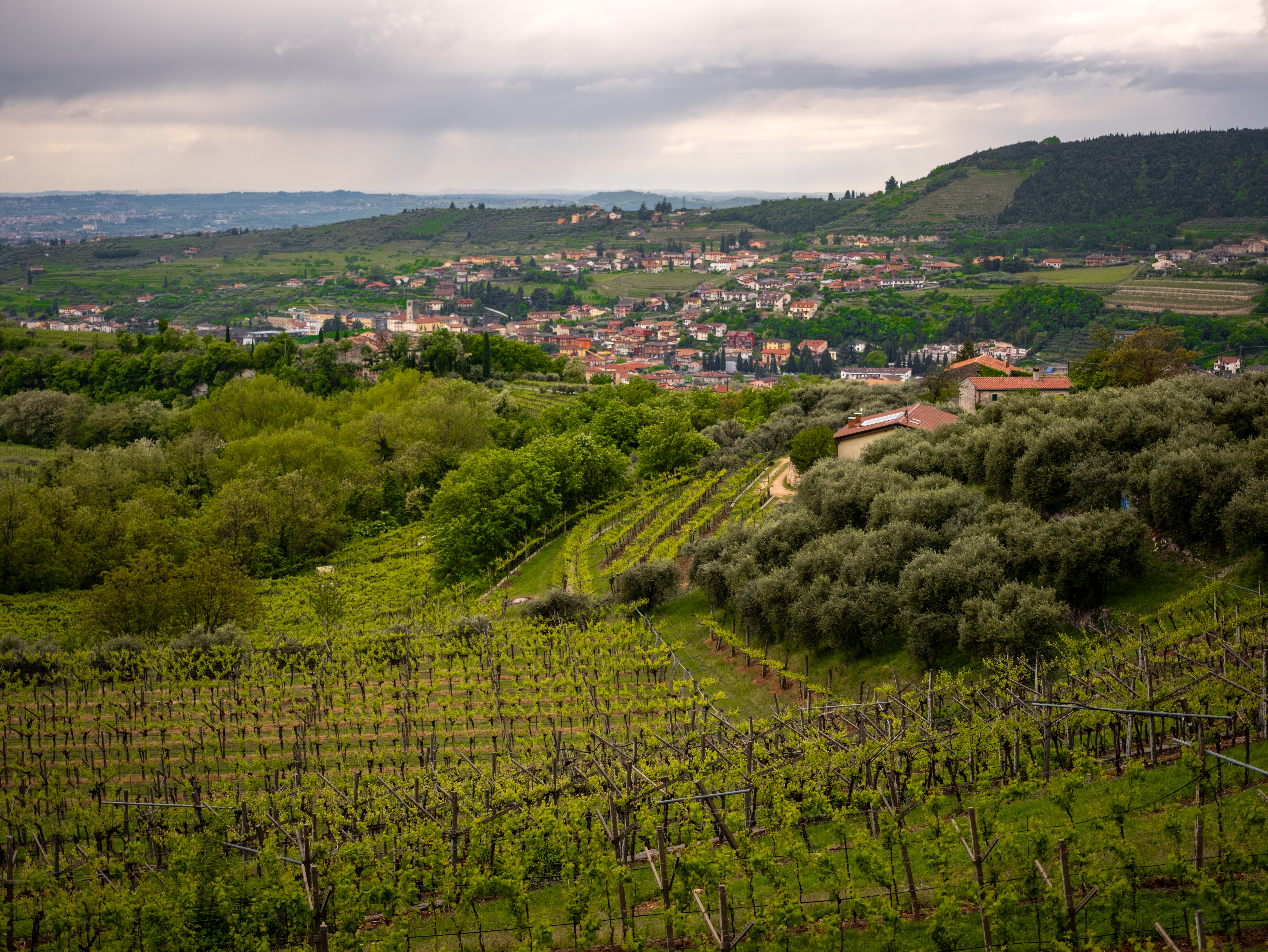 2024 04 23  xt 5   2142